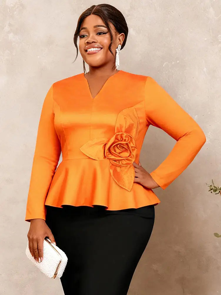 AOMEIDRESS Elegant Tops V Neck Long Sleeves with 3D Flower Peplum Hem