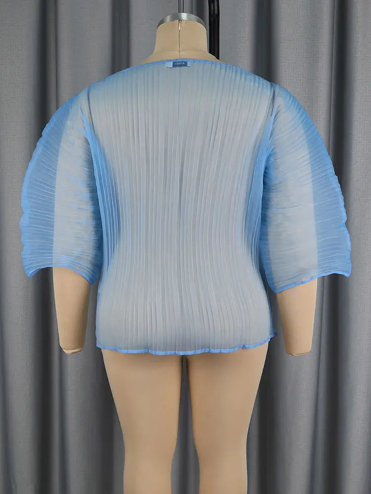 AOMEIDRESS Sheer Blue Mesh Top with 3D Floral Applique Wide Sleeves