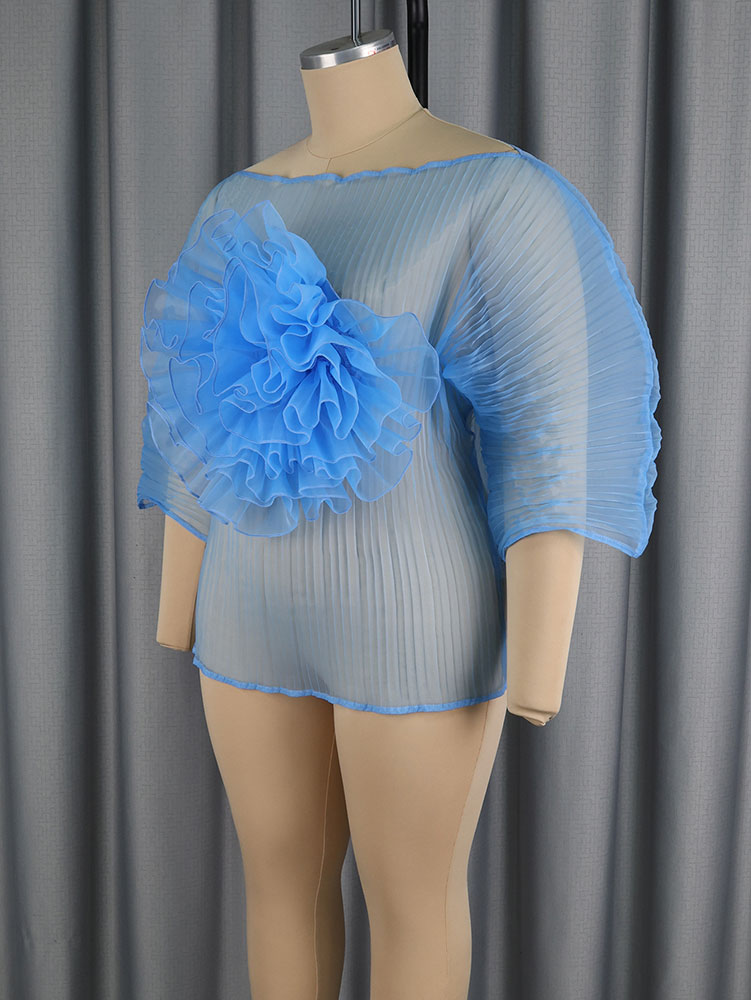 AOMEIDRESS Sheer Blue Mesh Top with 3D Floral Applique Wide Sleeves