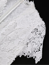 AOMEIDRESS Lace Midi A-line Dress V Neck Short Sleeve Wedding Party