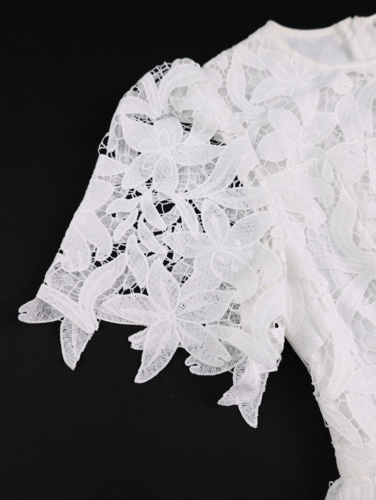 AOMEIDRESS Elegant A Line Lace Dress O Neck Hollow Out Short Sleeves