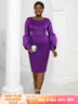 AOMEI Plus Size O Neck Long Sleeve Dress Purple / 1XL