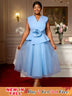 AOMEIDRESS Blue A Line Wedding Party Dress 3D Flower Sleeveless Peplum Blue / S