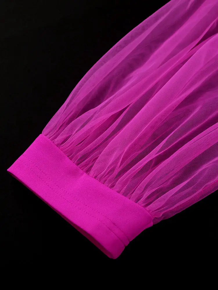 AOMEIDRESS Elegant A Line Pleated Work Dress Sheer Puff Sleeves O Neck