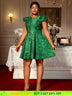 AOMEIDRESS Green Jacquard A Line Dresses Short Sleeves Occasion Wedding Event Green / 0XL