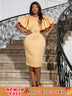 Big Ruffle Sleeve Dress Looks Chic 
