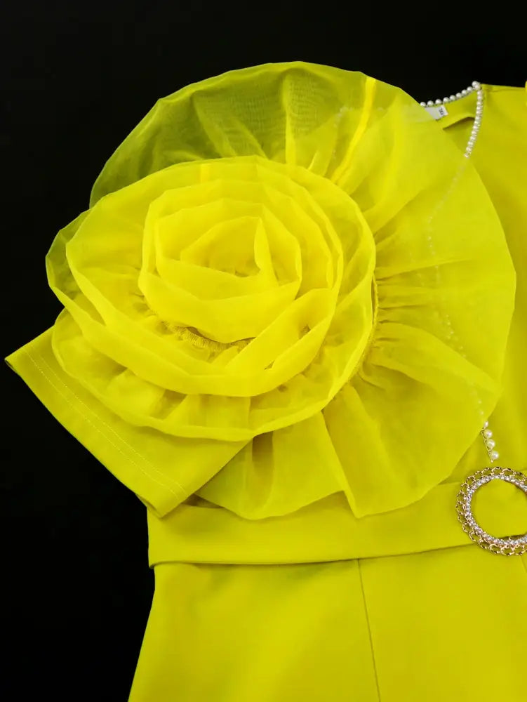 AOMEIDRESS Women’s Elegant Jumpsuit Casual Bubble Sleeves V-neck