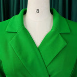 Elegant Dress For Women Notched Collar Three Quarter Sleeve Pleated